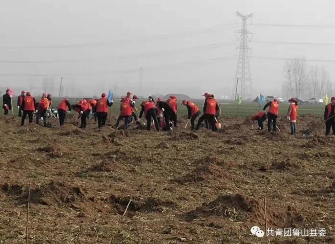 /upload/article/2019/02/28/3ad41c97-b83b-437e-9061-8f3aea5d1d9a.jpg /upload/article/2019/02/28/3ad41c97-b83b-437e-9061-8f3aea5d1d9a.jpg