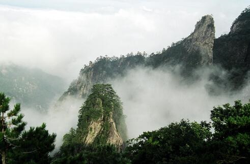 /upload/article/2019/03/06/698608b5-7d98-478e-a96b-f125220e2fd7.jpg /upload/article/2019/03/06/698608b5-7d98-478e-a96b-f125220e2fd7.jpg