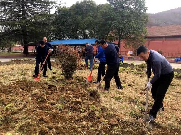 /upload/article/2019/03/14/035f144c-2ea6-4e9d-a8ef-1b38ebac94cc.jpg /upload/article/2019/03/14/035f144c-2ea6-4e9d-a8ef-1b38ebac94cc.jpg