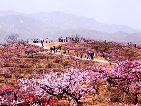 /upload/article/2019/03/21/87762644-1585-413e-8389-ec1cd2ed6a51.jpg /upload/article/2019/03/21/87762644-1585-413e-8389-ec1cd2ed6a51.jpg