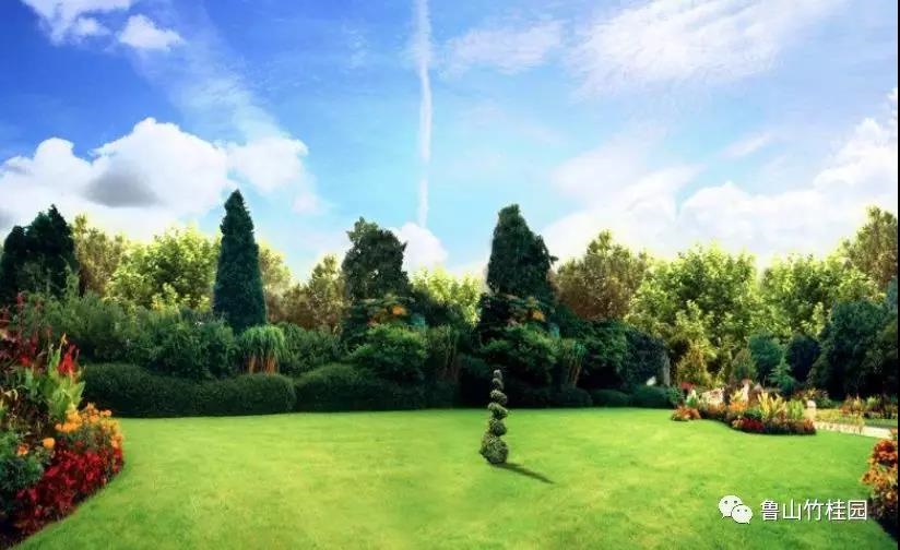 /upload/article/2019/07/29/d4cceb68-6771-4f07-8bd0-6b92dccfc6df.jpg /upload/article/2019/07/29/d4cceb68-6771-4f07-8bd0-6b92dccfc6df.jpg