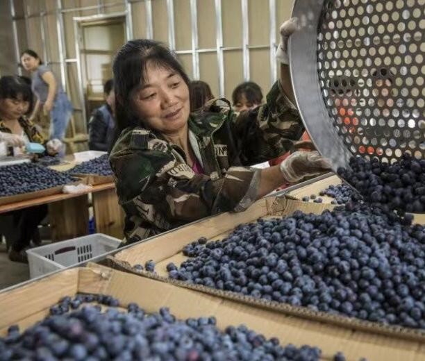 /upload/article/2019/10/22/6516d741-4a80-43e0-baf2-3405959bd17a.jpg /upload/article/2019/10/22/6516d741-4a80-43e0-baf2-3405959bd17a.jpg