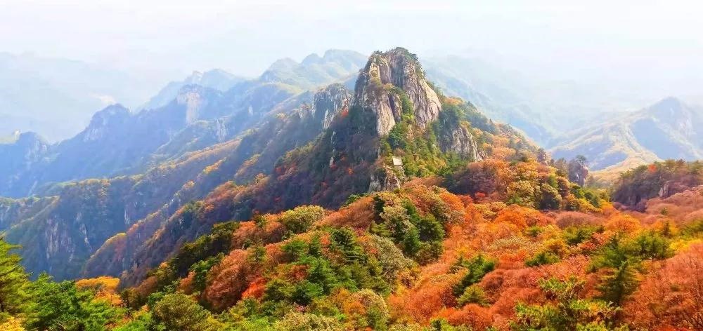 /upload/article/2019/11/05/35553381-fdd6-4c33-b63d-1bfbf71b64e3.jpg /upload/article/2019/11/05/35553381-fdd6-4c33-b63d-1bfbf71b64e3.jpg