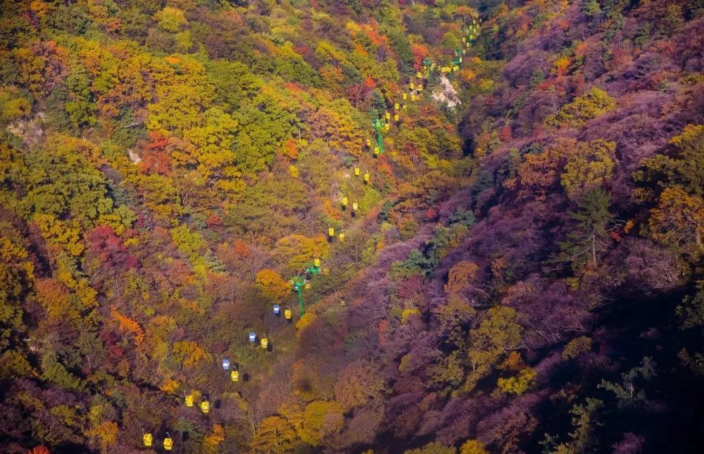 /upload/article/2019/11/05/ad2b613d-1bf4-46c1-9190-dfa426d2682f.jpg /upload/article/2019/11/05/ad2b613d-1bf4-46c1-9190-dfa426d2682f.jpg