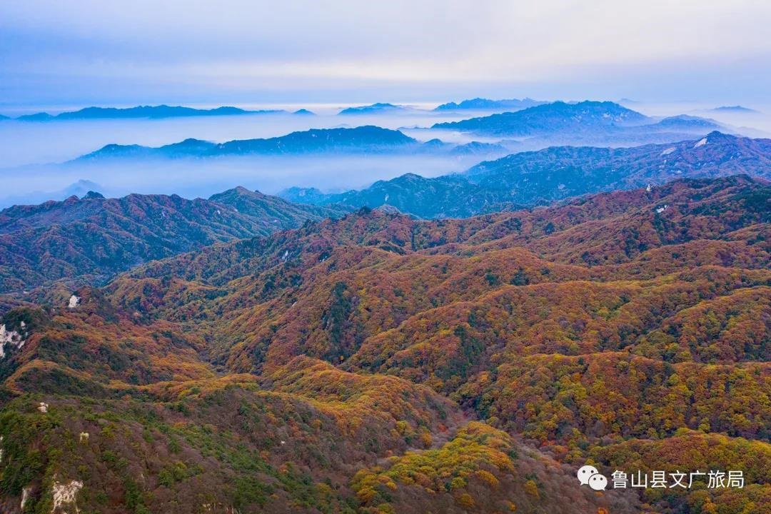 /upload/article/2021/10/19/4e9df2f6-742e-41b9-b1c4-d17c57ed5cf1.jpg /upload/article/2021/10/19/4e9df2f6-742e-41b9-b1c4-d17c57ed5cf1.jpg