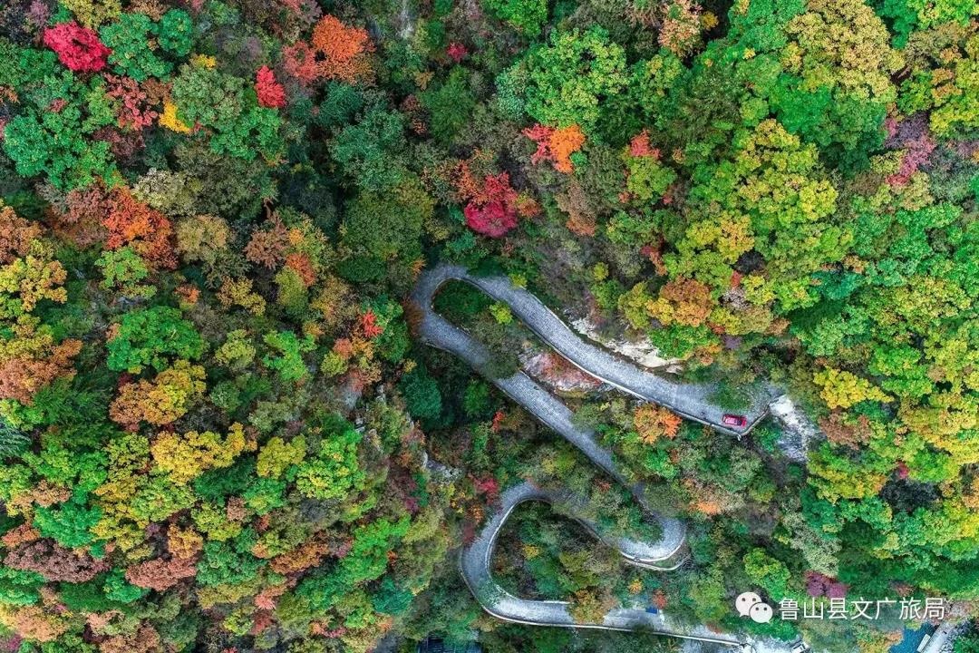 /upload/article/2021/10/19/7d962b10-3fa7-4f5b-b656-e4eb101b8c85.jpg /upload/article/2021/10/19/7d962b10-3fa7-4f5b-b656-e4eb101b8c85.jpg