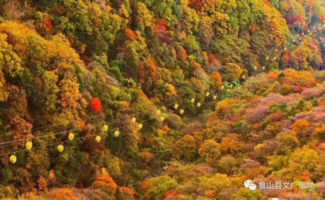 /upload/article/2021/10/19/98602637-7137-4296-b769-a8720ccfec3d.jpg /upload/article/2021/10/19/98602637-7137-4296-b769-a8720ccfec3d.jpg