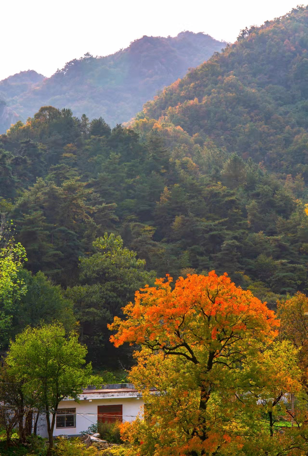 /upload/article/2021/10/29/3559f2df-6b0f-4701-84a0-a48f4266e803.jpg /upload/article/2021/10/29/3559f2df-6b0f-4701-84a0-a48f4266e803.jpg