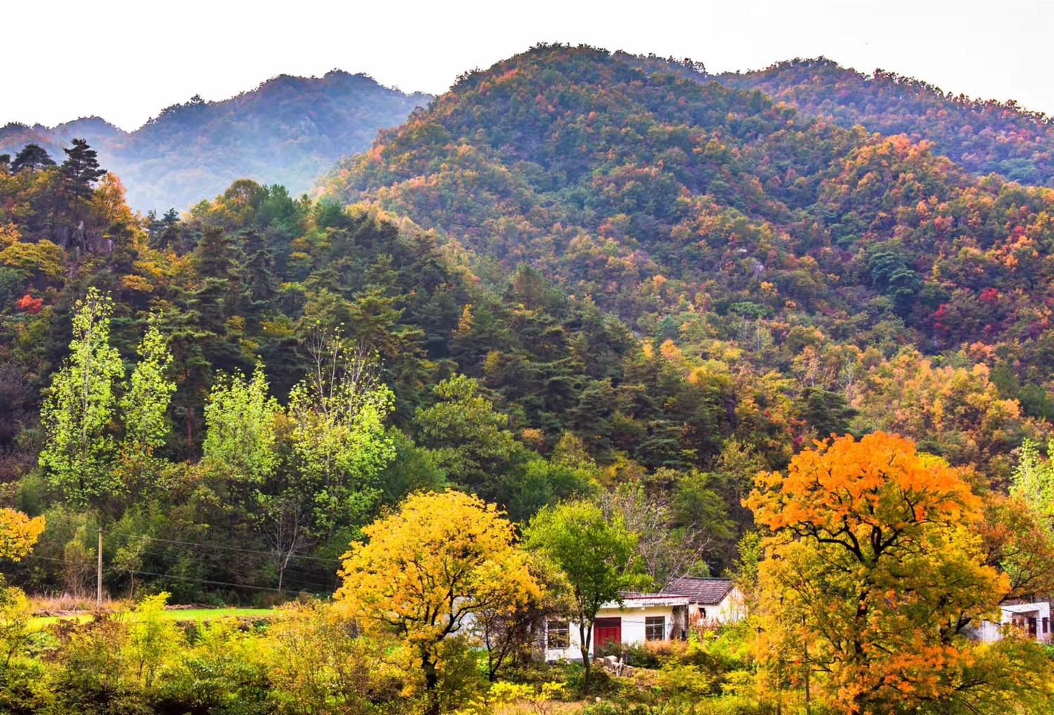 /upload/article/2021/10/29/921b577f-16da-462f-a518-724c22d46c1c.jpg /upload/article/2021/10/29/921b577f-16da-462f-a518-724c22d46c1c.jpg