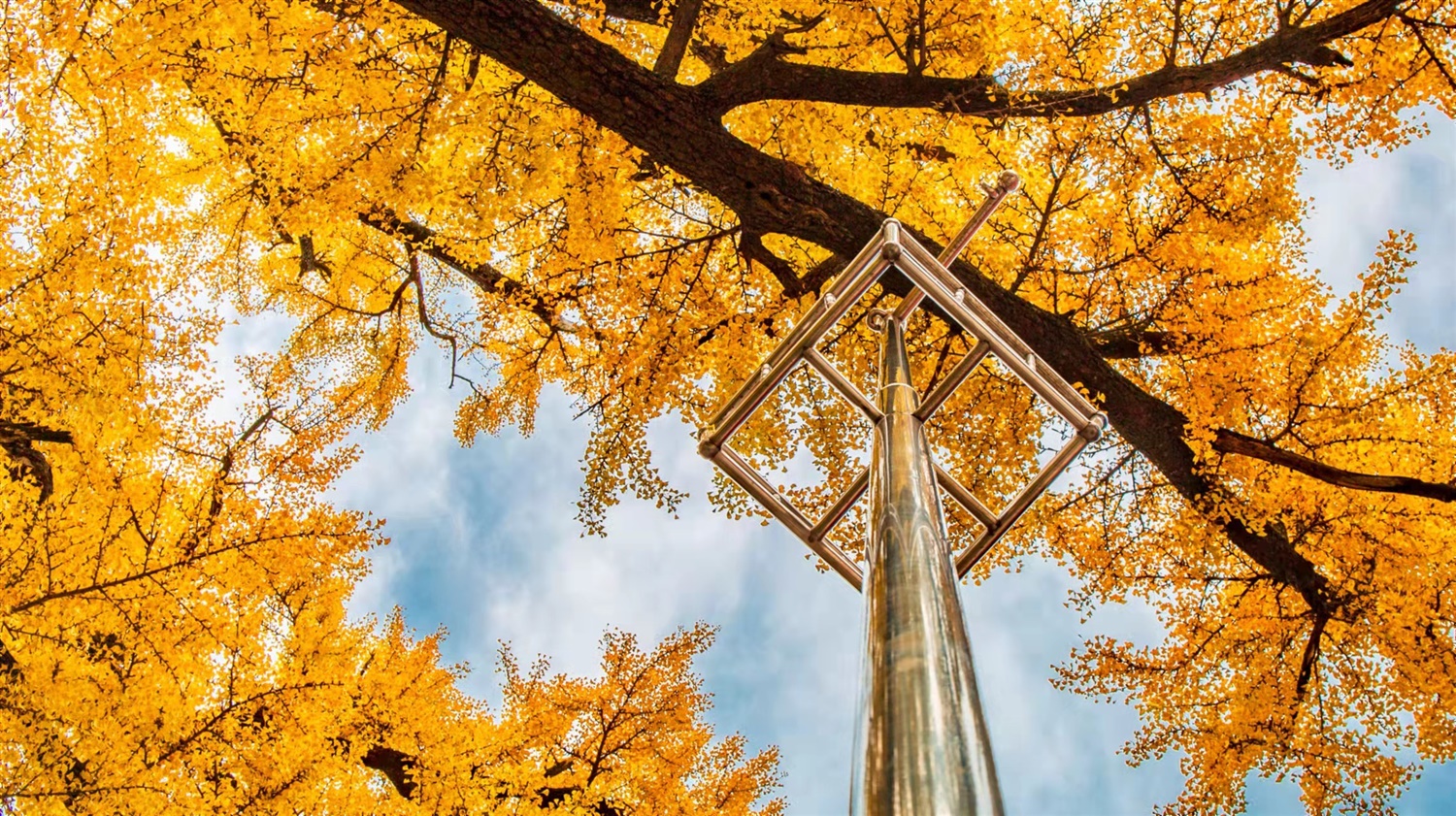 /upload/article/2021/10/29/a362b82b-0a99-4895-918c-432c441ddd67.jpg /upload/article/2021/10/29/a362b82b-0a99-4895-918c-432c441ddd67.jpg