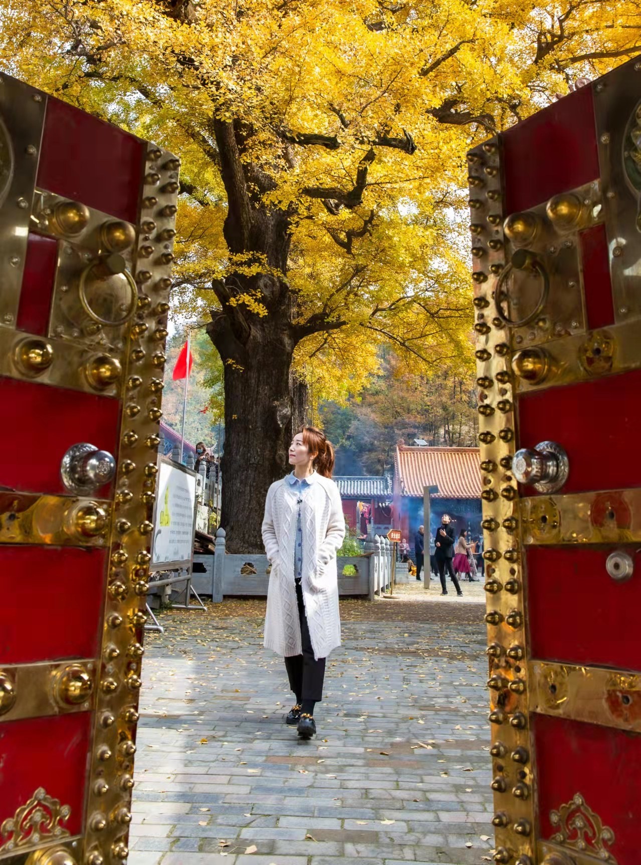 /upload/article/2021/10/29/b85812e6-f657-4b26-9b78-fb4d7fbdeeb7.jpg /upload/article/2021/10/29/b85812e6-f657-4b26-9b78-fb4d7fbdeeb7.jpg