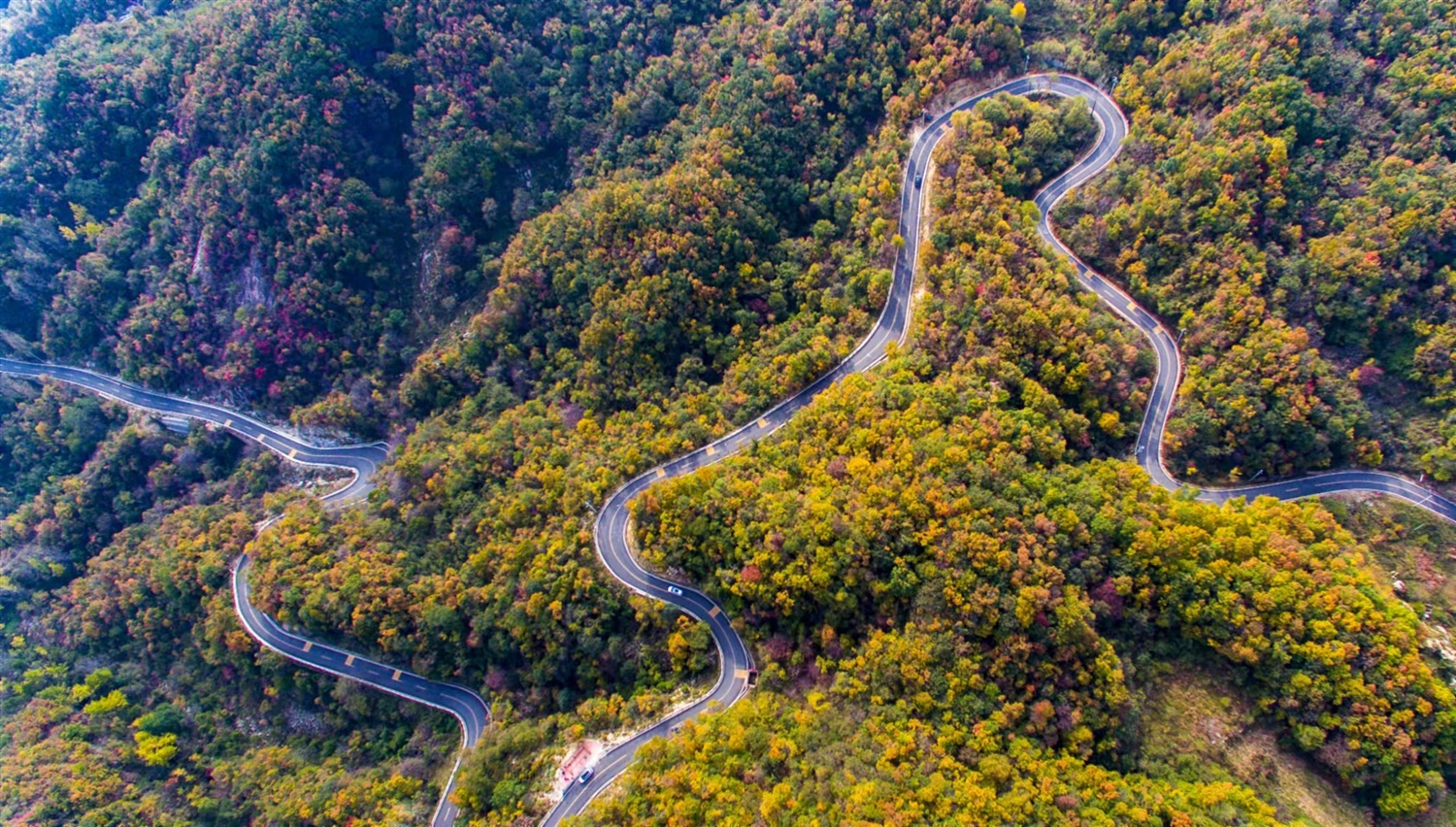 /upload/article/2021/10/29/b9e6a62f-2d2a-4c18-8056-694bb6dc3ebd.jpg /upload/article/2021/10/29/b9e6a62f-2d2a-4c18-8056-694bb6dc3ebd.jpg