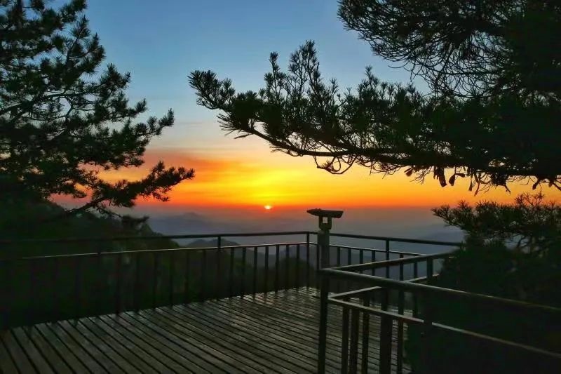 /upload/article/2022/05/11/22541c5d-ad74-44fd-a3aa-a121a9e4a4f5.jpg /upload/article/2022/05/11/22541c5d-ad74-44fd-a3aa-a121a9e4a4f5.jpg