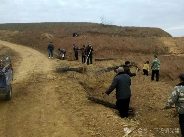 /upload/article/2025/04/16/e9cacb77-6db2-42a4-adce-c59b49ef1e4a.jpg /upload/article/2025/04/16/e9cacb77-6db2-42a4-adce-c59b49ef1e4a.jpg