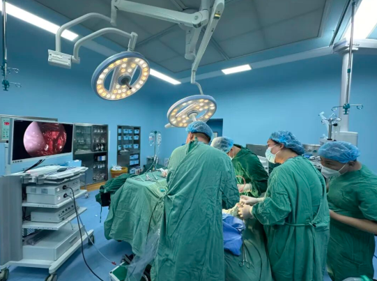 /upload/article/2025/10/17/a8d64a83-9d71-467b-bc31-85a864f82fca.png /upload/article/2025/10/17/a8d64a83-9d71-467b-bc31-85a864f82fca.png