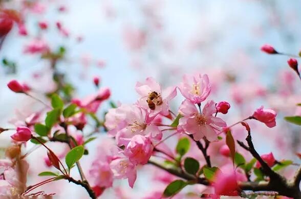 /upload/bbs/2017/06/28/94f9d017-faef-422b-8746-9fc0d6f1257f.jpg /upload/bbs/2017/06/28/94f9d017-faef-422b-8746-9fc0d6f1257f.jpg