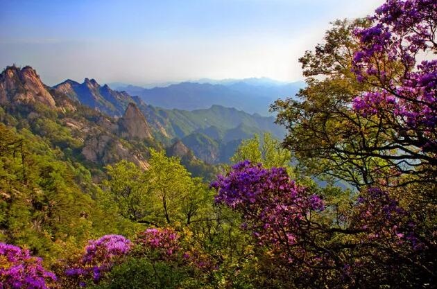 /upload/bbs/2018/03/19/0167b853-556b-4bea-911f-4854861d5810.jpg /upload/bbs/2018/03/19/0167b853-556b-4bea-911f-4854861d5810.jpg