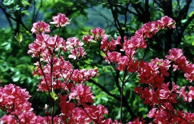 /upload/bbs/2018/03/19/0c551558-7b94-452c-aab9-e709550eaec2.jpg /upload/bbs/2018/03/19/0c551558-7b94-452c-aab9-e709550eaec2.jpg