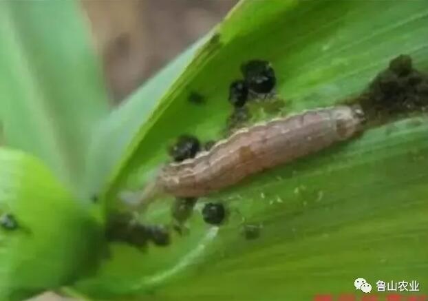 /upload/bbs/2018/07/18/2992db69-edf0-4b78-91bd-c80d56f94a9c.jpg /upload/bbs/2018/07/18/2992db69-edf0-4b78-91bd-c80d56f94a9c.jpg