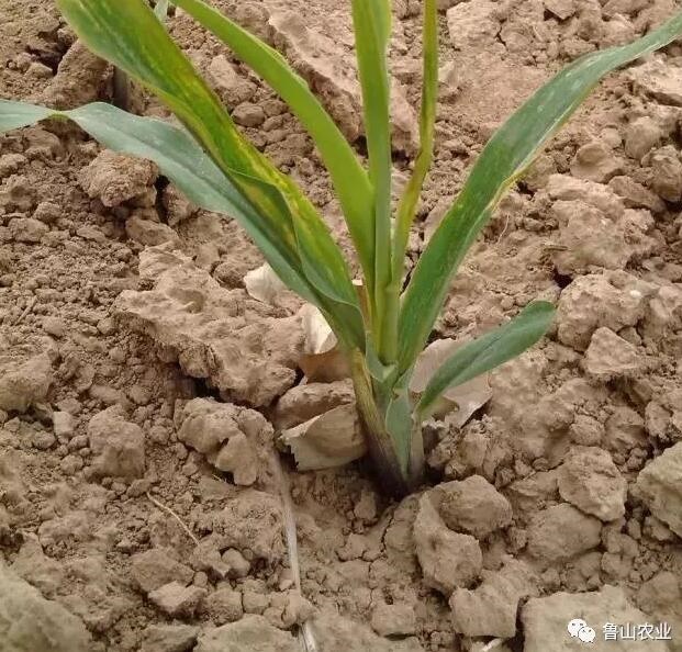 /upload/bbs/2018/07/18/d48d24b3-dc50-4fb5-bdb3-4b607814cfbd.jpg /upload/bbs/2018/07/18/d48d24b3-dc50-4fb5-bdb3-4b607814cfbd.jpg