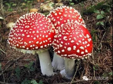 /upload/bbs/2018/07/20/5d163313-63b6-4278-953d-cc233921a2af.jpg /upload/bbs/2018/07/20/5d163313-63b6-4278-953d-cc233921a2af.jpg