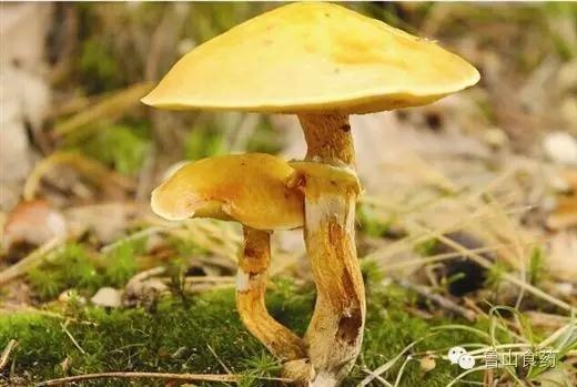 /upload/bbs/2018/07/20/cdad126a-7674-4249-bcbf-d1e54480f5f5.jpg /upload/bbs/2018/07/20/cdad126a-7674-4249-bcbf-d1e54480f5f5.jpg