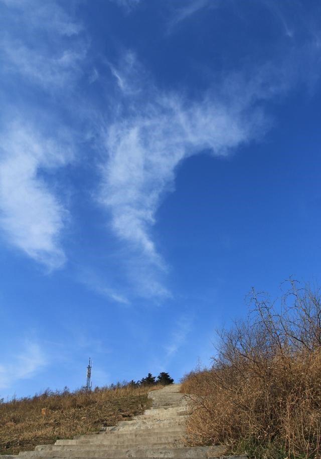 /upload/bbs/2018/07/21/1a3b2752-a267-48f1-ae5b-cdb741c6bb15.jpg /upload/bbs/2018/07/21/1a3b2752-a267-48f1-ae5b-cdb741c6bb15.jpg