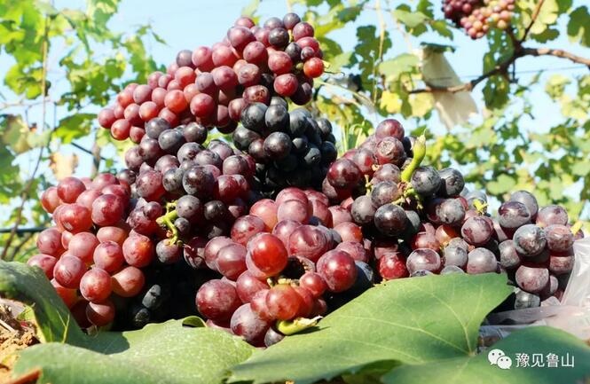 /upload/bbs/2018/07/22/3afcf980-c6e1-4e2a-aa97-8eb75c4aeac7.jpg /upload/bbs/2018/07/22/3afcf980-c6e1-4e2a-aa97-8eb75c4aeac7.jpg