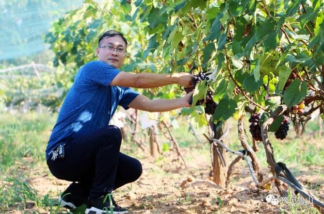 /upload/bbs/2018/07/22/d59f7c67-324e-4951-95a1-765576d1ebc3.jpg /upload/bbs/2018/07/22/d59f7c67-324e-4951-95a1-765576d1ebc3.jpg