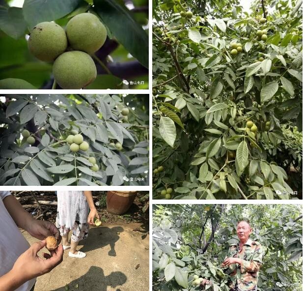 /upload/bbs/2018/08/02/1fa8b752-c6a1-4ce5-abac-28fc3749ea88.jpg /upload/bbs/2018/08/02/1fa8b752-c6a1-4ce5-abac-28fc3749ea88.jpg