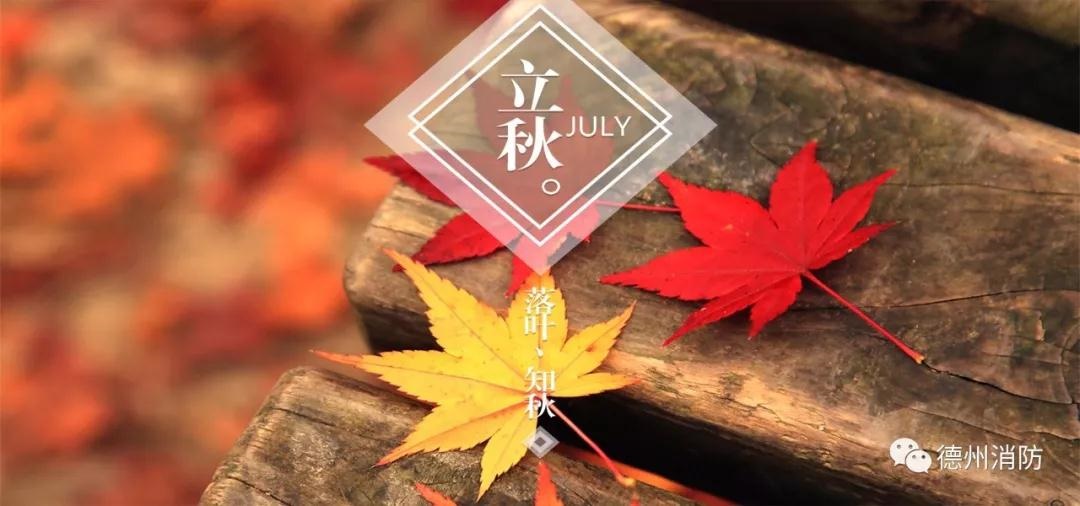 /upload/bbs/2018/08/07/86629bad-1a10-47f6-aad4-51025ab383ae.jpg /upload/bbs/2018/08/07/86629bad-1a10-47f6-aad4-51025ab383ae.jpg