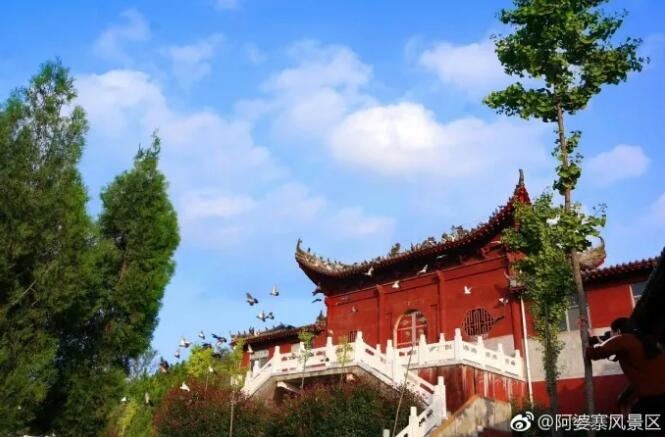 /upload/bbs/2018/08/09/64146b00-ab6e-45ef-8254-5bd4167f2df3.jpg /upload/bbs/2018/08/09/64146b00-ab6e-45ef-8254-5bd4167f2df3.jpg