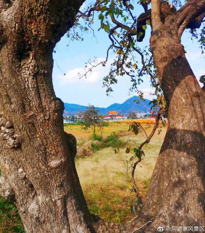 /upload/bbs/2018/08/09/d0c37171-8e43-4f14-9bc7-0f2c98dd9c35.jpg /upload/bbs/2018/08/09/d0c37171-8e43-4f14-9bc7-0f2c98dd9c35.jpg