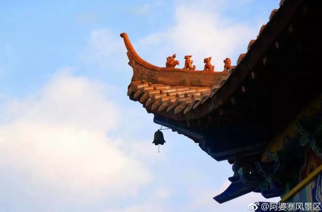 /upload/bbs/2018/08/09/dc225d92-2422-4a29-8460-b1a37769b481.jpg /upload/bbs/2018/08/09/dc225d92-2422-4a29-8460-b1a37769b481.jpg