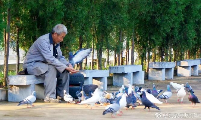 /upload/bbs/2018/08/09/f7884620-093e-4016-ae1b-7bdcf890be18.jpg /upload/bbs/2018/08/09/f7884620-093e-4016-ae1b-7bdcf890be18.jpg