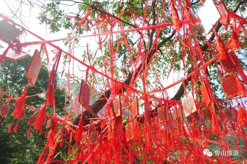 /upload/bbs/2018/08/13/2cb4b143-df2f-486d-950b-5c4ae8d97fa0.jpg /upload/bbs/2018/08/13/2cb4b143-df2f-486d-950b-5c4ae8d97fa0.jpg