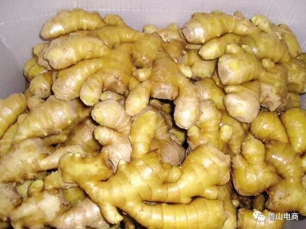 /upload/bbs/2018/08/21/551916da-a645-478b-bb1b-152a02cdd147.jpg /upload/bbs/2018/08/21/551916da-a645-478b-bb1b-152a02cdd147.jpg