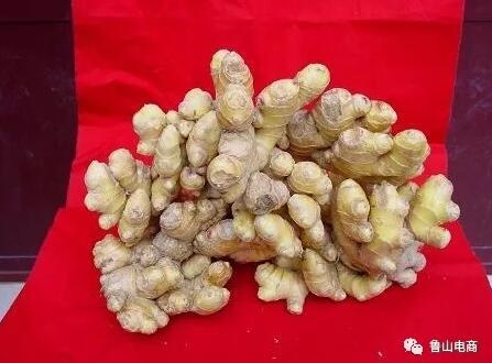 /upload/bbs/2018/08/21/c9cf27d2-dfa3-428c-90d7-c28720f0af3e.jpg /upload/bbs/2018/08/21/c9cf27d2-dfa3-428c-90d7-c28720f0af3e.jpg