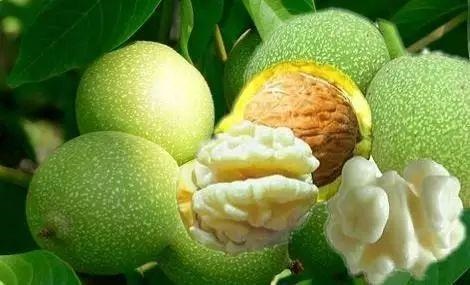 /upload/bbs/2018/08/22/7c4a0393-f85a-4b61-87d9-436102e2c7ef.jpg /upload/bbs/2018/08/22/7c4a0393-f85a-4b61-87d9-436102e2c7ef.jpg