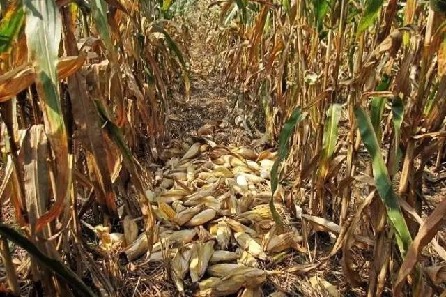 /upload/bbs/2018/10/06/68558f9c-4cd0-4074-bd1e-95a80fd9438d.jpg /upload/bbs/2018/10/06/68558f9c-4cd0-4074-bd1e-95a80fd9438d.jpg