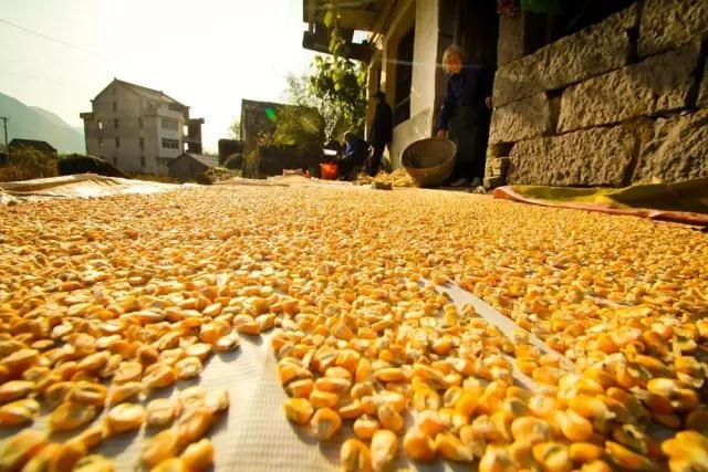 /upload/bbs/2018/10/06/ce0f8863-3fed-4f36-81f7-00ea7ba1ee2a.jpg /upload/bbs/2018/10/06/ce0f8863-3fed-4f36-81f7-00ea7ba1ee2a.jpg