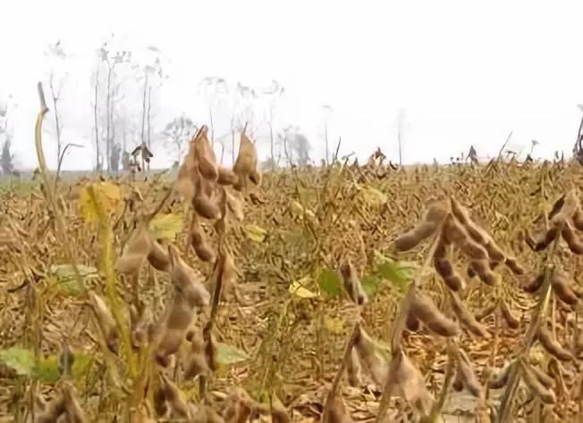 /upload/bbs/2018/10/06/cfbaec51-81dd-4870-9a98-cb2ab07899cb.jpg /upload/bbs/2018/10/06/cfbaec51-81dd-4870-9a98-cb2ab07899cb.jpg