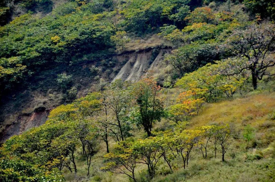 /upload/bbs/2018/10/10/bfbe0948-2aa5-4a61-aa86-0e9a22f5ee86.jpg /upload/bbs/2018/10/10/bfbe0948-2aa5-4a61-aa86-0e9a22f5ee86.jpg