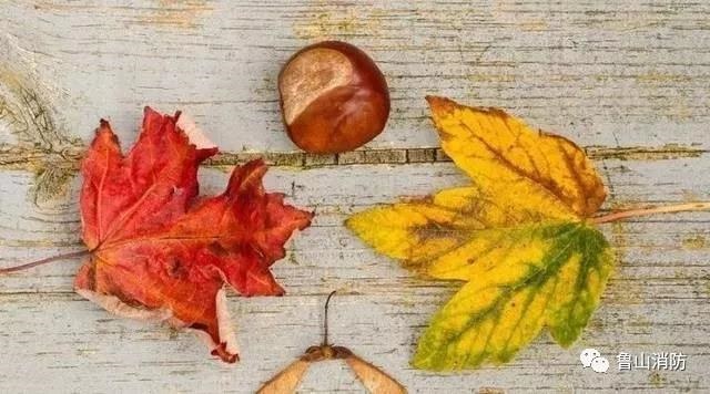 /upload/bbs/2018/10/16/8de38d22-a398-4a73-ae51-8f995854a6f4.jpg /upload/bbs/2018/10/16/8de38d22-a398-4a73-ae51-8f995854a6f4.jpg