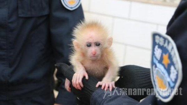 /upload/bbs/2018/10/29/2efe5b0a-4689-4941-9c2b-37c790cd7a67.jpg /upload/bbs/2018/10/29/2efe5b0a-4689-4941-9c2b-37c790cd7a67.jpg