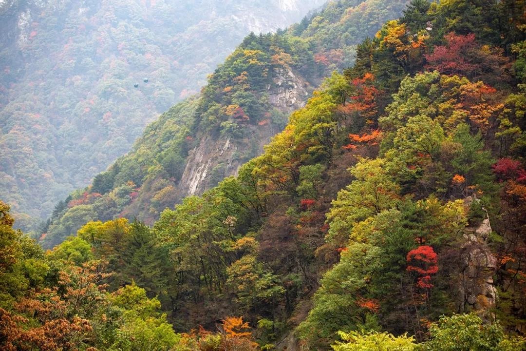 /upload/bbs/2018/10/29/35647c8f-72be-4b4d-910e-12fd6c9118a1.jpg /upload/bbs/2018/10/29/35647c8f-72be-4b4d-910e-12fd6c9118a1.jpg