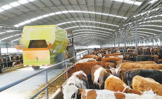 /upload/bbs/2018/11/08/359685aa-630a-40f8-9ef6-e639c9a5a165.jpg /upload/bbs/2018/11/08/359685aa-630a-40f8-9ef6-e639c9a5a165.jpg