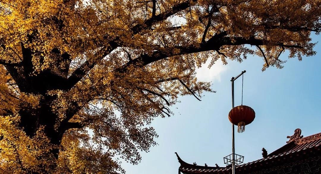 /upload/bbs/2018/11/13/772f8d79-3392-4409-ba31-d51fc0edd384.jpg /upload/bbs/2018/11/13/772f8d79-3392-4409-ba31-d51fc0edd384.jpg