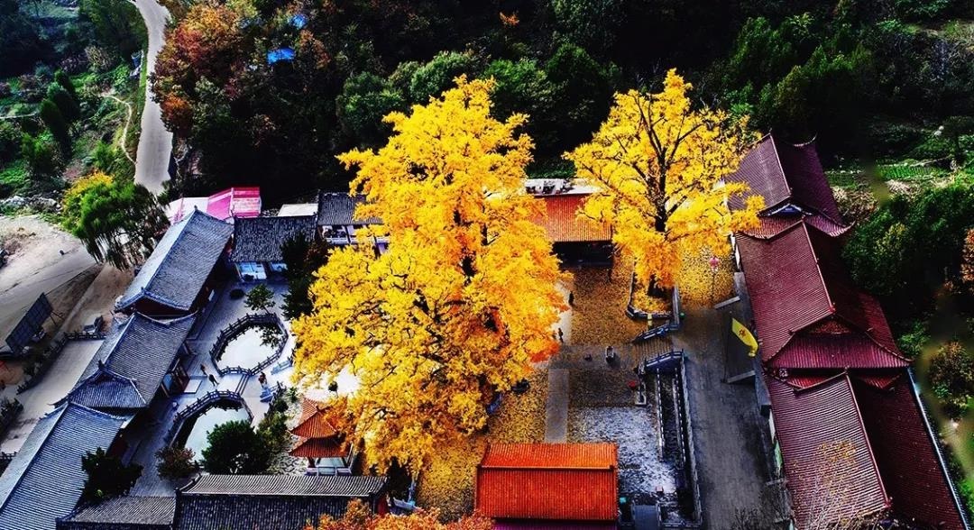 /upload/bbs/2018/11/13/c516c2ba-15cf-4f12-8163-dae879fa7f0b.jpg /upload/bbs/2018/11/13/c516c2ba-15cf-4f12-8163-dae879fa7f0b.jpg