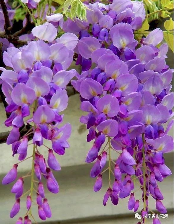 /upload/bbs/2019/04/12/d6c57332-0950-45b2-a77f-96b0d5b8b3e2.jpg /upload/bbs/2019/04/12/d6c57332-0950-45b2-a77f-96b0d5b8b3e2.jpg